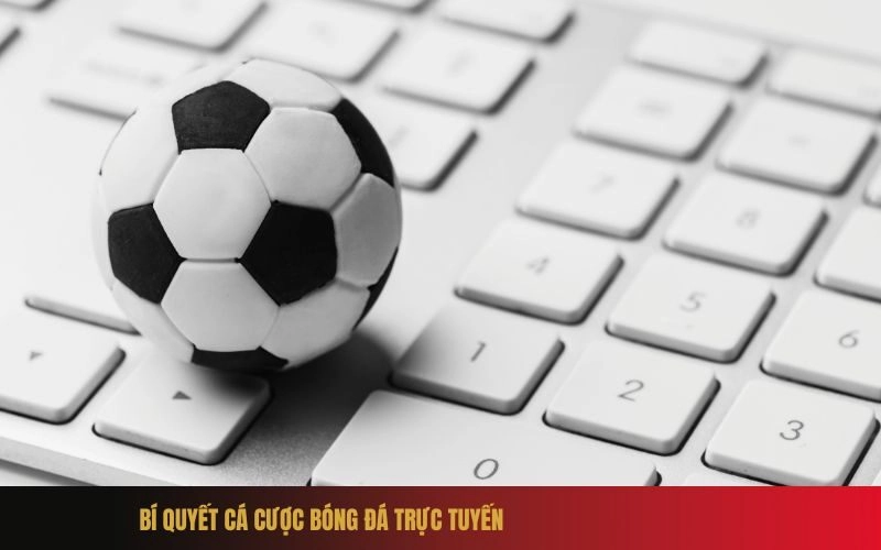 Bí quyết cá cược bóng đá trực tuyến