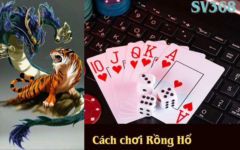 Hướng dẫn cách chơi Rồng Hổ online chi tiết tại nhà cái SV368

