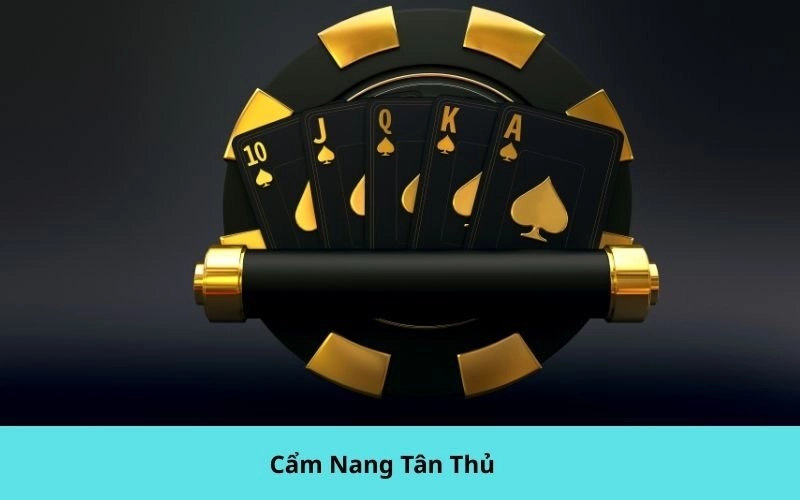 Cẩm Nang Tân Thủ