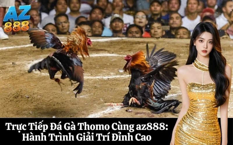 Trực Tiếp Đá Gà Thomo Cùng az888 Hành Trình Giải Trí Đỉnh Cao