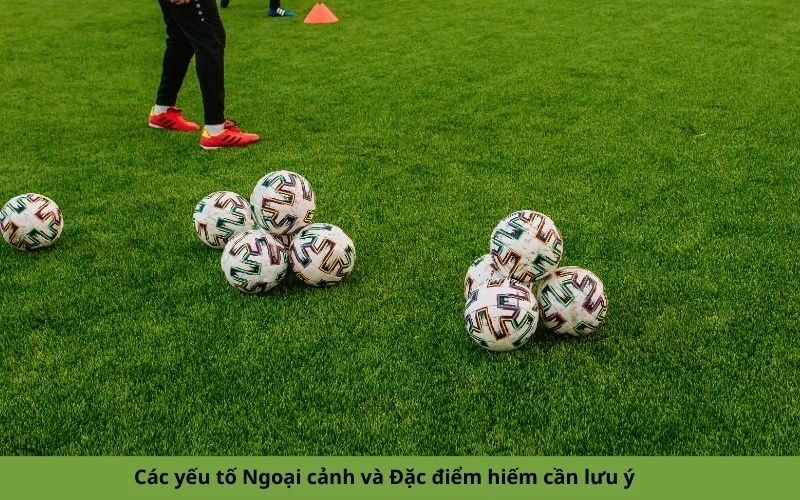 Các yếu tố Ngoại cảnh và Đặc điểm hiếm cần lưu ý