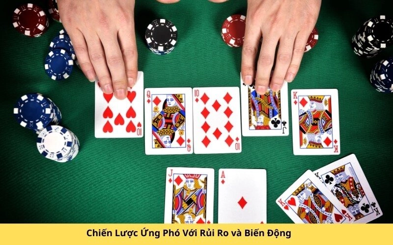 Chiến Lược Ứng Phó Với Rủi Ro và Biến Động