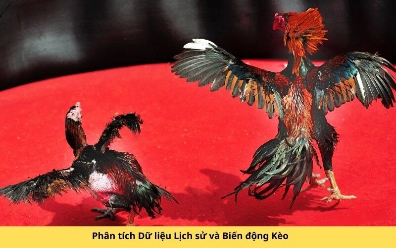 Phân tích Dữ liệu Lịch sử và Biến động Kèo
